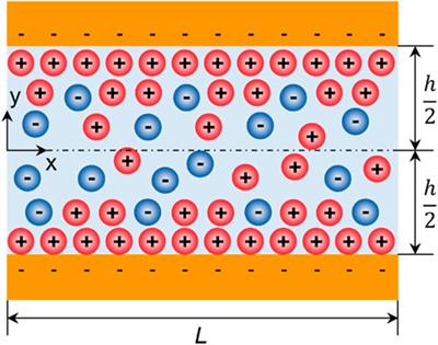 Nanofluidic systems for ion transport with tunable surface charges: fabrications, characterizations, and applications